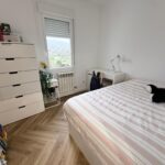 WhatsApp Image 2026-02-12 at 14.35.12