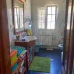 WhatsApp Image 2026-02-16 at 12.58.50 (2)