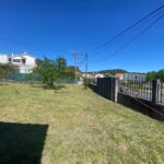 WhatsApp Image 2026-02-16 at 12.58.50 (6)