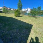 WhatsApp Image 2026-02-16 at 12.58.50 (7)