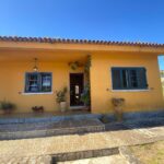 WhatsApp Image 2026-02-16 at 12.58.51 (1)