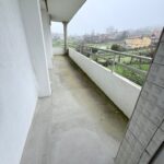 WhatsApp Image 2026-03-11 at 19.41.33 (4)