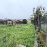 WhatsApp Image 2026-03-11 at 19.41.35