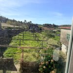 WhatsApp Image 2026-03-30 at 15.57.28 (1)