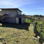 WhatsApp Image 2026-03-30 at 15.57.28 (2)