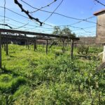 WhatsApp Image 2026-03-30 at 15.57.28 (4)